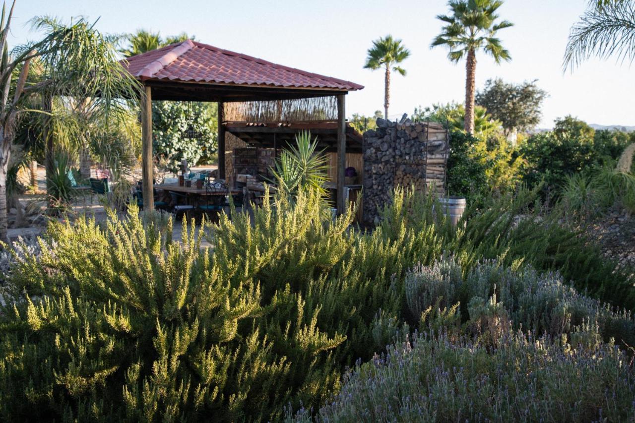 Terra Del Valle Bed & Breakfast Valle de Guadalupe Exterior foto